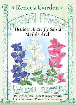 Heirloom Butterfly Salvia - Marble Arch
