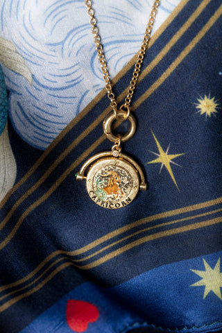 Capricorn Zodiac Spinner Necklace