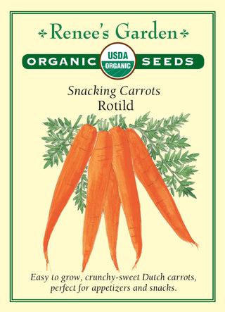 Snacking Carrots - Rotild Organic