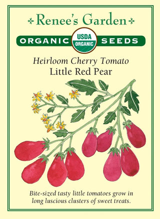 Heirloom Cherry Tomato - Little Red Pear Organic