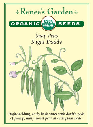 Snap Peas - Sugar Daddy Organic