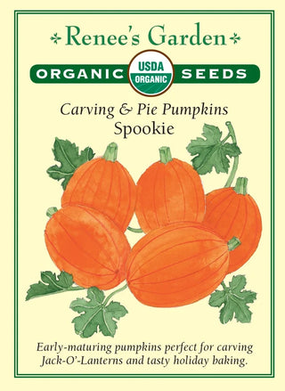Carving & Pie Pumpkins - Spookie Organic