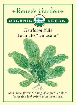 Heirloom Kale - Lacinato "Dinosaur" Organic