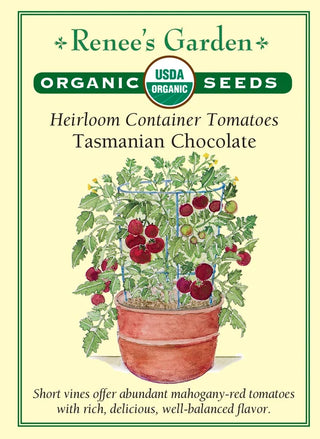 Heirloom Container Tomatoes - Tasmanian Chocolate Organic