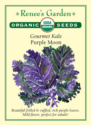 Gourmet Kale - Purple Moon Organic