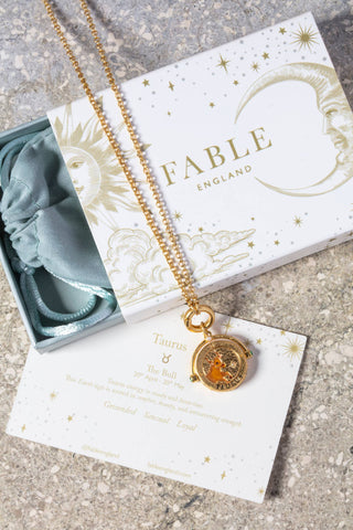 Taurus Zodiac Spinner Necklace