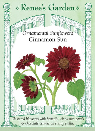 Ornamental Sunflowers - Cinnamon Sun