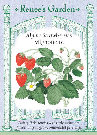 Alpine Strawberries - Mignonette