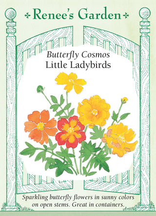 Butterfly Cosmos - Little Ladybirds
