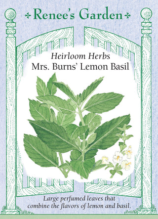 Heirloom Herbs - Mrs. Burns' Lemon Basil