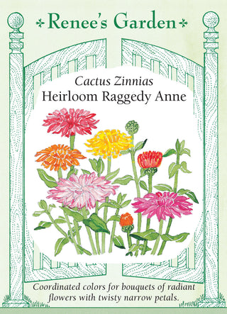 Cactus Zinnias - Heirloom Raggedy Anne