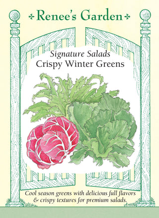 Signature Salads - Crispy Winter Greens