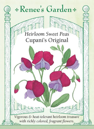 Heirloom Sweet Peas - Cupani's Original