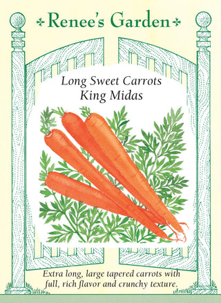 Long Sweet Carrots - King Midas
