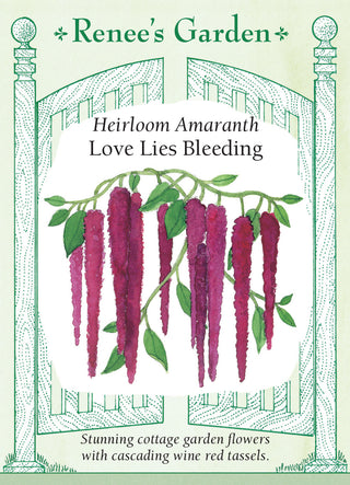 Heirloom Amaranth - Love Lies Bleeding