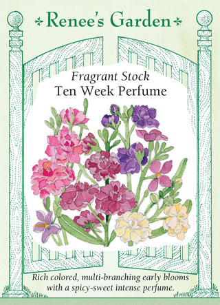 Fragrant Stock - Anytime Mix