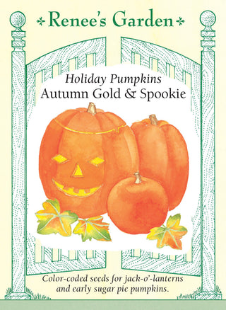 Holiday Mix Pumpkins - Autumn Gold & Spookie