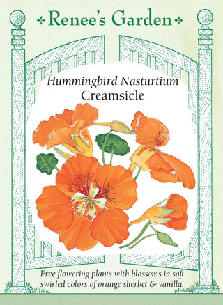 Hummingbird Nasturtiums - Creamsicle