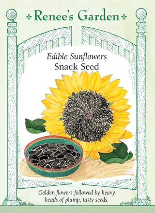 Edible Sunflowers - Snack Seed