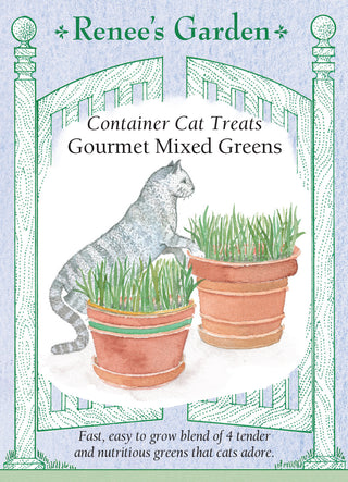 Container Cat Treats - Gourmet Mixed Greens