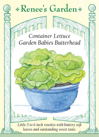 Container Lettuce - Garden Babies Butterhead
