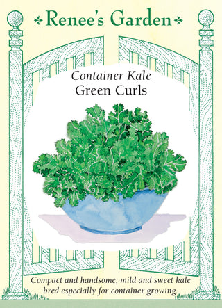 Container Kale - Green Curls