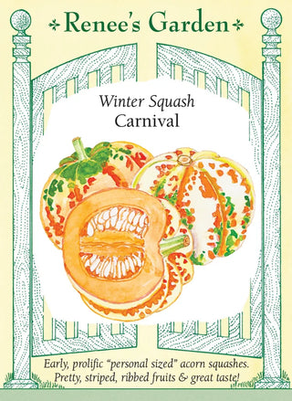 Winter Squash - Carnival
