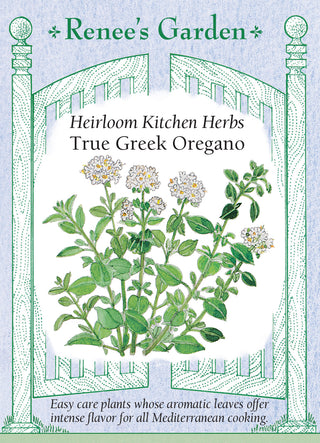 Heirloom Kitchen Herbs - True Greek Oregano