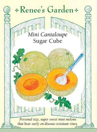 Mini Cantaloupe - Sugar Cube