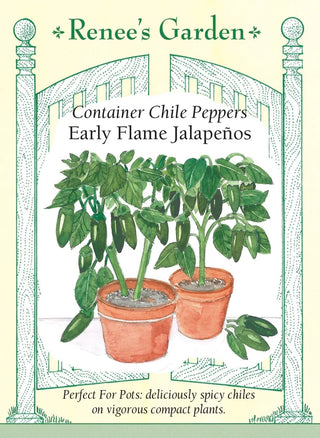 Container Chile Peppers - Early Flame Jalapeños