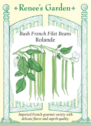 Bush French Filet Beans -  Rolande