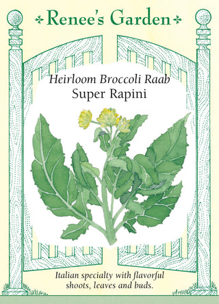 Heirloom Broccoli Raab - Super Rapini