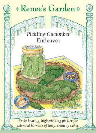 Pickling Cucumber - Bohemia