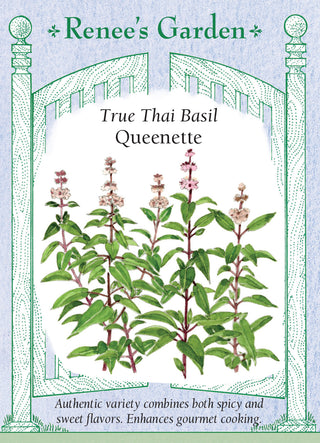 True Thai Basil - Queenette