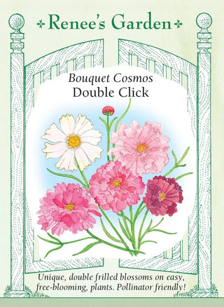 Bouquet Cosmos - Double Click