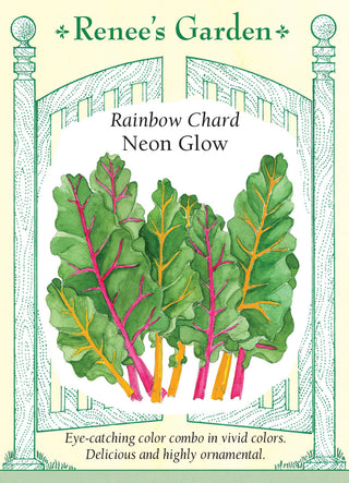 Rainbow Chard - Neon Glow
