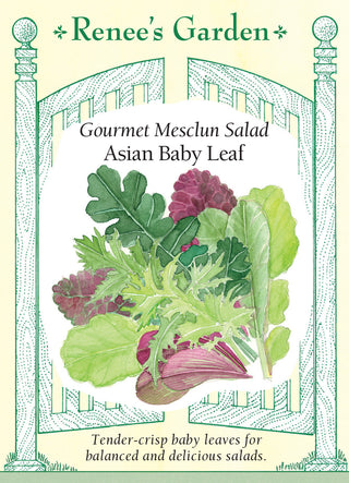 Gourmet Mesclun Salad - Asian Baby Leaf