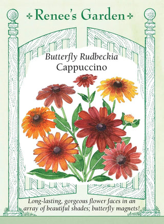 Butterfly Rudbeckia - Cappucino