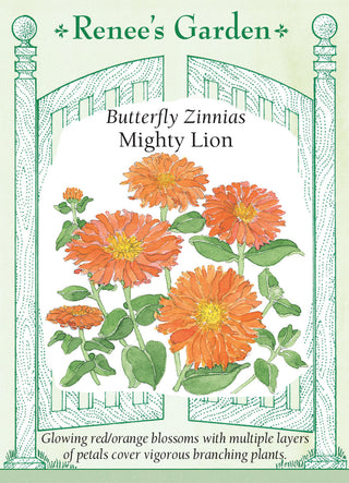 Butterfly Zinnias - Mighty Lion