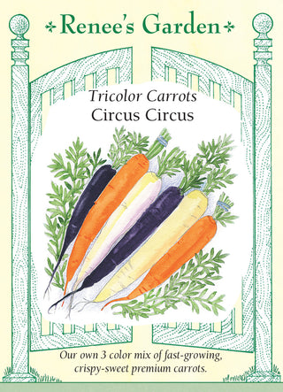 Tricolor Carrots - Circus Circus