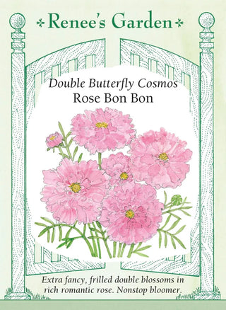 Double Butterfly Cosmos - Rose Bon Bon