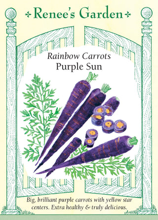 Rainbow Carrots - Purple Sun