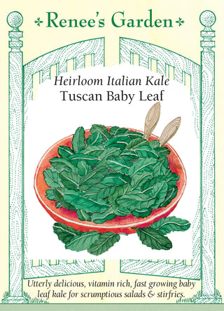 Heirloom Italian Kale - Tuscan Baby Leaf