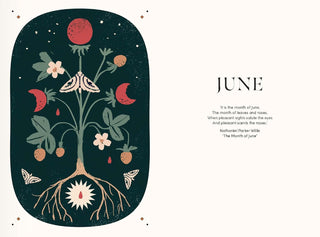 The Mystical Year