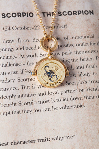 Scorpio Zodiac Spinner Necklace