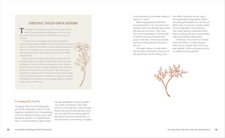 Drinkable Healing Herbal Infusions
