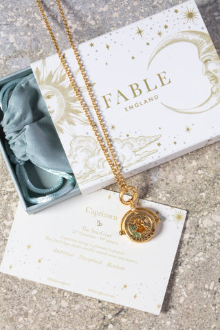 Capricorn Zodiac Spinner Necklace
