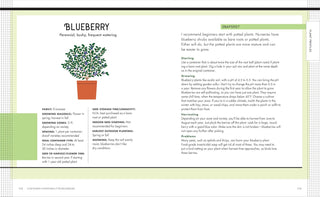 Container Gardening for Beginners