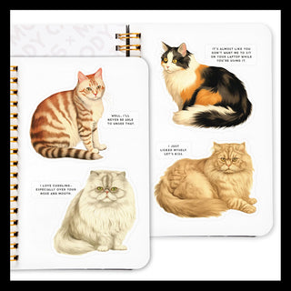 Sticker Books