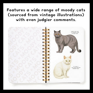 Sticker Books